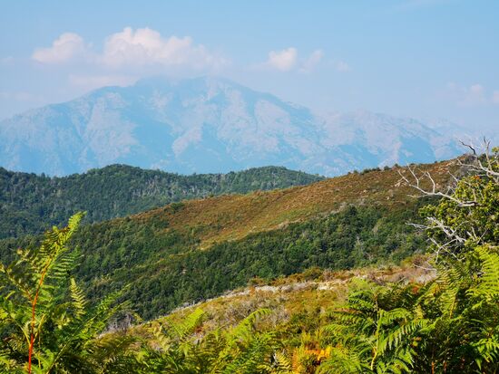 leider die Gebirge etwas im Dunst