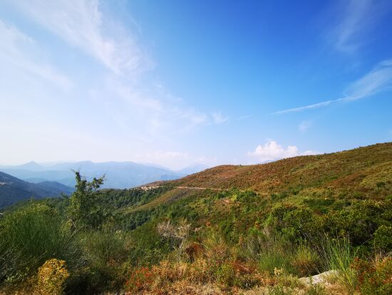 dieser dünne Strich im Bild ist "mein Weg" 