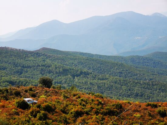 und so endet man, wenn man vom Weg abkommt 
