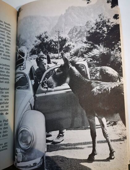auch in den 70ern liefen die Tiere hier frei über die Bergstraßen
Bild: Goldstadt-Reiseführer Korsika, Band 15, 1972