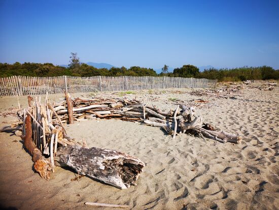 mit dem vielen Treibgut in Form von Ästen jeder Stärke und Länge werden die Urlauber kreativ