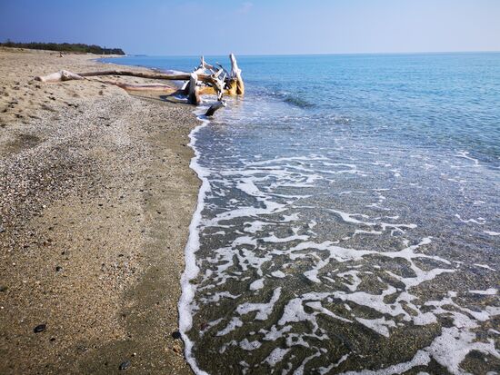 Foto **: die kleine Episode zu diesem hübschen Stamm findet ihr im Text