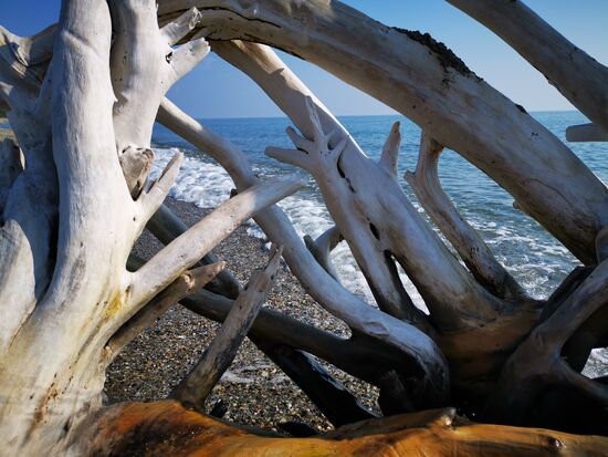 Foto ** - siehe Text oben