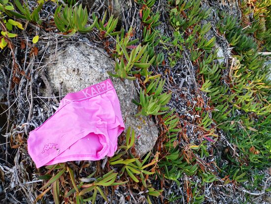 am FKK-Strand findet man immer wieder auch anderes Strandgut als Äste  .... falls der Herr, der diesen rosa Schlüppi vermisst, das sieht, möge er sich bei mir melden, ich werde ihm die Koordinaten der Fundstelle gerne übermitteln