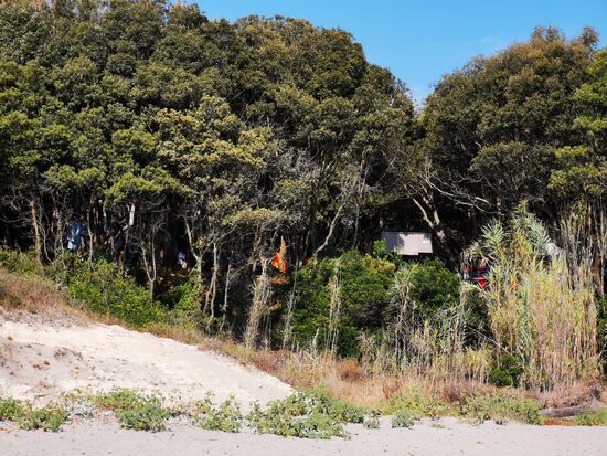 mein Stellplatz vom Wasser aus gesehen: das helle Rechteck in den Bäumen