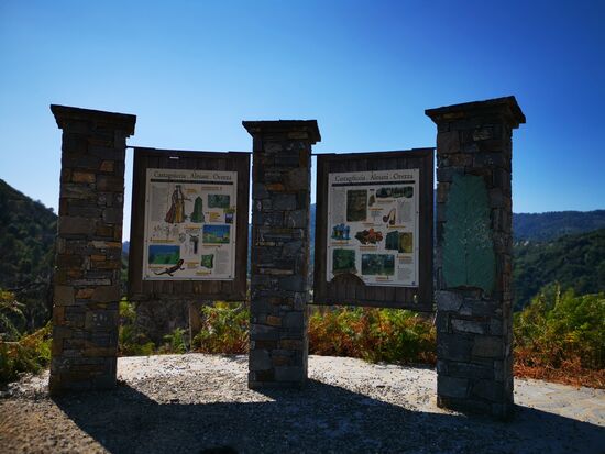 die Castaniccia liegt vor mir ...