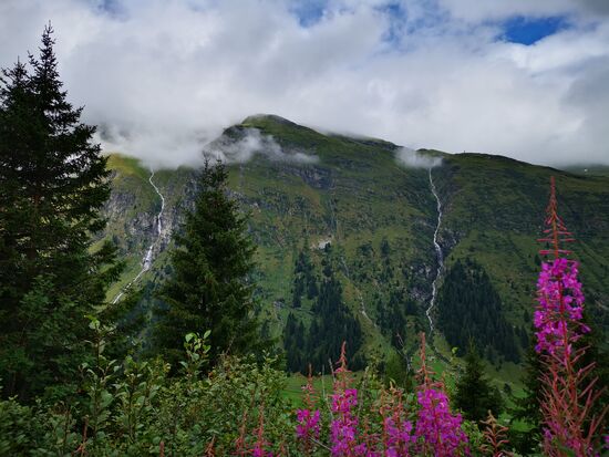 nach jeder Kurve eine neue schöne Aussicht