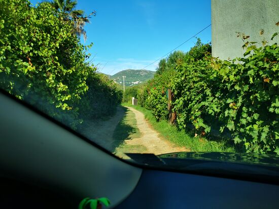 Die letzten Meter zum Campingplatz bescheren mir neue Kratzer in Dachbox und Auto 