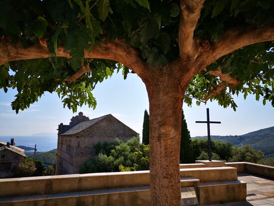 ein perfekter Platz für ein Orgelkonzert 