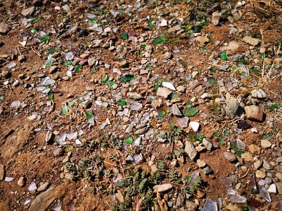 alles voller Glasscherben 