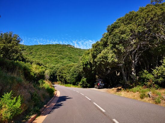 schattiges Parkplätzchen gesehen und schon wieder ein fotografischer Stopppppp 