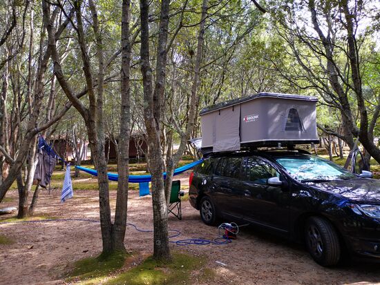 eingeparkt ohne Stämme oder Äste zu berühren
