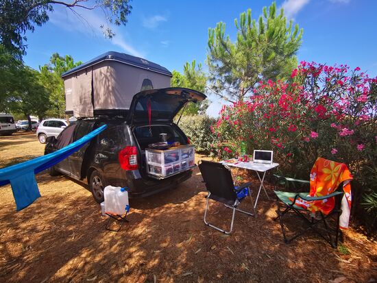 ...mit blühendem Oleander 