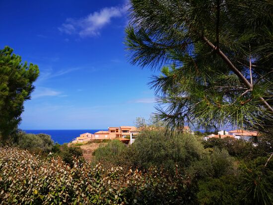 das ist die Aussicht aus meinem "Schlafzimmerfenster"