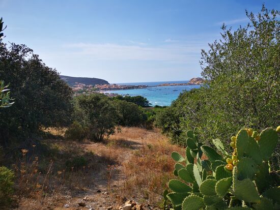 der Weg Richtung Strand und Stadt