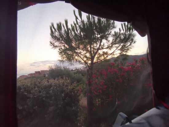 guten Morgen Sonnenschein  Der Blick aus dem Schlafzimmer.