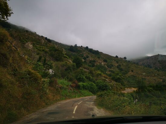 Den Mittelstreifen hätte man sich sparen können 
