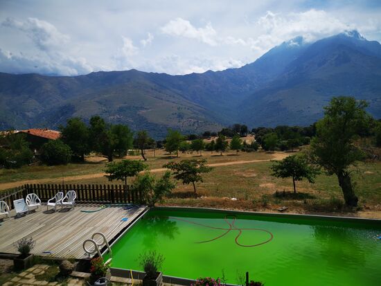 angekommen. Wahnsinn: das Gelände geht bis ganz unten zu den Bäumen.