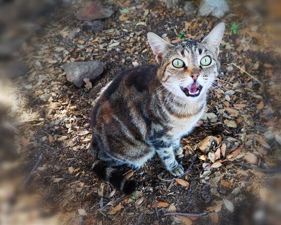ich habe ihr doch gar nichts getan :-/