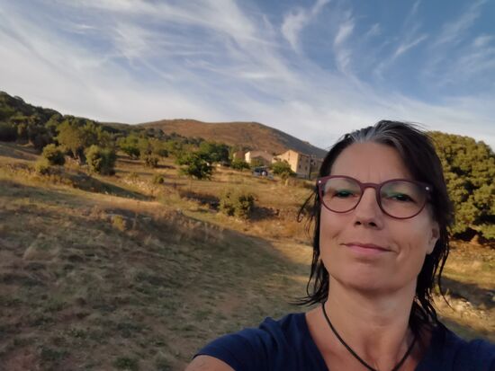 Platz, Platz, Platz...