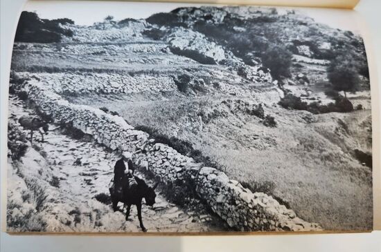 "Sant' Antonino liegt in luftiger Höhe über der Balagne und wird deshalb auch "Adlerhorst" genannt. Der alte Ort hat seine Anfänge bereits im 9. Jahrhundert." (Quelle: Goldstadt-Reiseführer Korsika, Band 15, 1973)