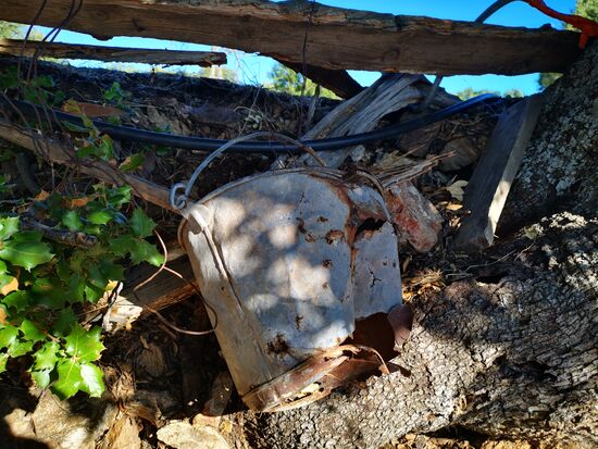 und der wohl auch ...