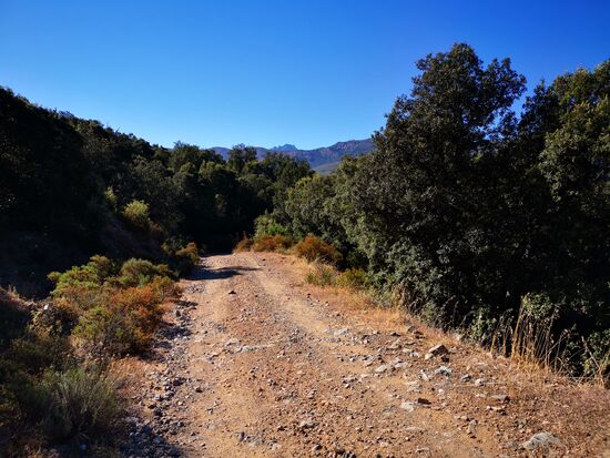 zunächst ein breiter Schotterweg