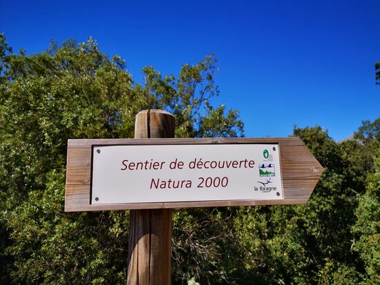 und dann zweige ich auf einen kleineren Pfad ab