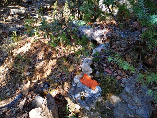 das sind keine Schmierereien, sondern die Wegmarkierung