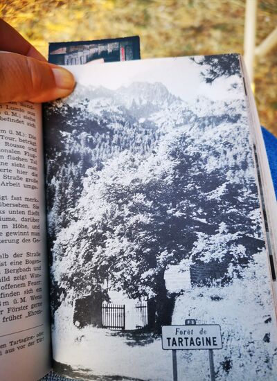 Die Natur und die kleinen Bergdörfer haben sich im Laufe der Jahre nicht verändert - zum Glück 
(Quelle: Goldstadt-Reiseführer Korsika, Band 15, 1972)
