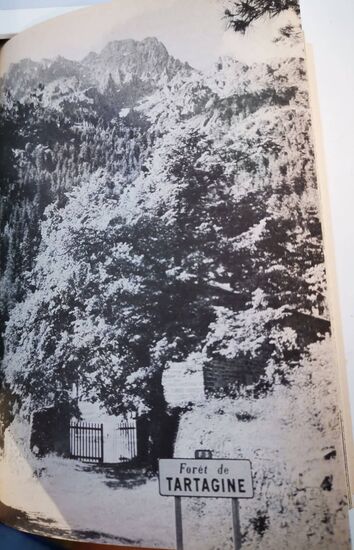 Bild: Goldstadt-Reiseführer Korsika, Band 15, 1973