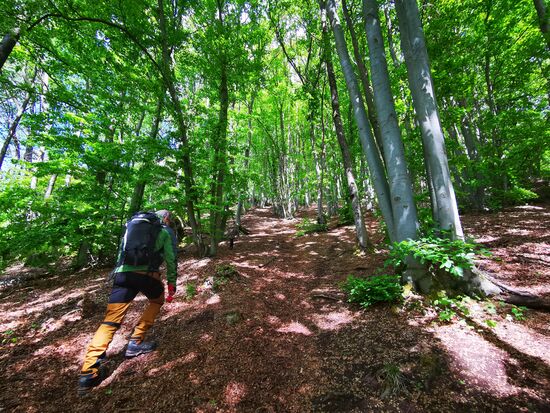 Man musste sich tatsächlich in Schräglage begeben und teilweise die Füße quer ansetzen, um die Steigung bewältigen zu können.