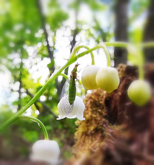 was ein Handy so alles sieht!!! ich bin begeistert!