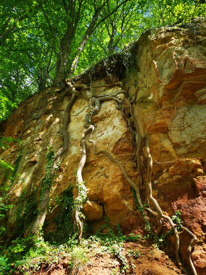 die Wurzeln, die sich über den Fels ziehen, erinnern mich an Angkor Wat (Kambodscha) - auch das waren beeindruckende Reisen.