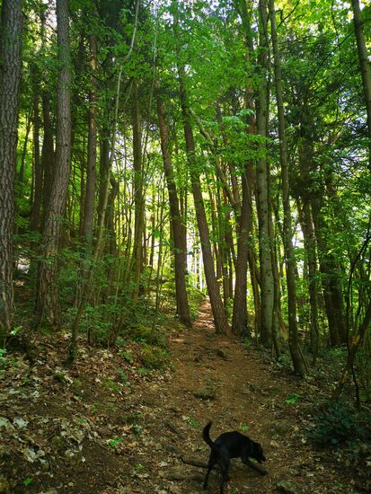 Der Aufstieg zur ersten Höhle ist bereits gut steil.