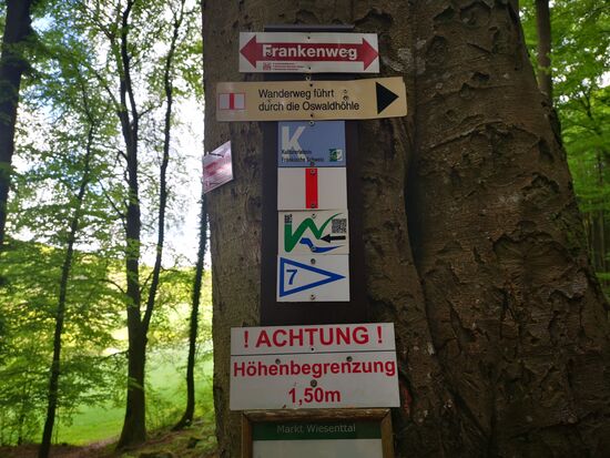 unsere erste Höhle: die Oswaldhöhle - hier führt der Wanderweg komplett durch.