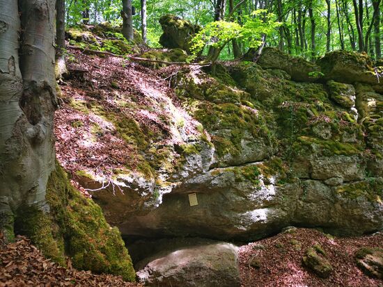 mit Hilfe von googlemaps finden wir die Doktorshöhle
