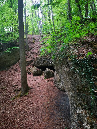 weiter geht es rauf und runter durch das felsige Waldgelände