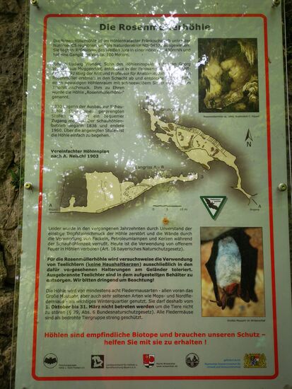 Letzte Höhle für heute: die Rosenmüllershöhle.