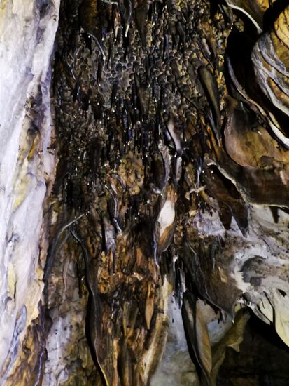 An der Decke hängen eindrucksvolle Tropfsteine.