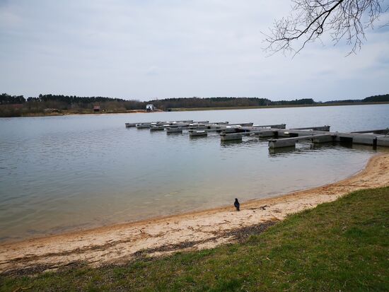 und hier ein "single" aus der Vogelwelt