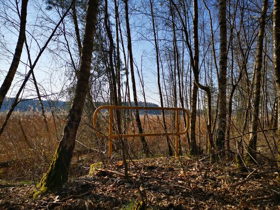 ein Geländer mitten im Gehölz...