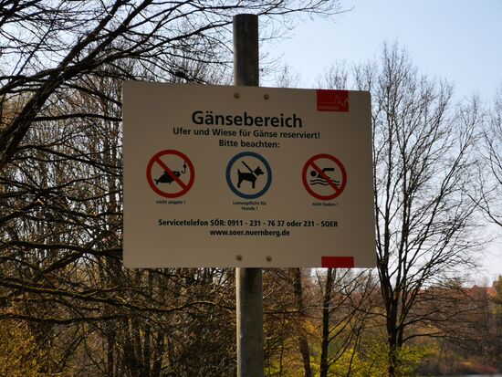 1 x Gans sein dürfen.... in diesen Zeiten ... das wäre schön!