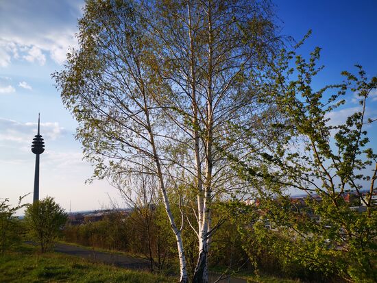 Blick Richtung Nordwest