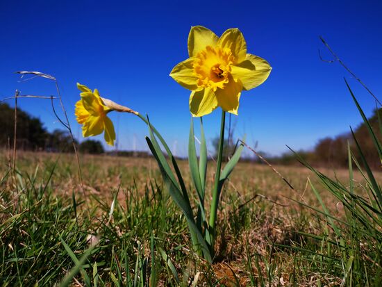 stimmt - es ist ja Ostern ...