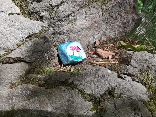 FLIEGENPILZ gefunden 29.08.2020 Trusetaler Wasserfall (Köhlerhütte)