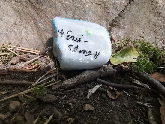 die Rückseite des Fliegenpilz-Steins, leider kann ich das nicht entziffern