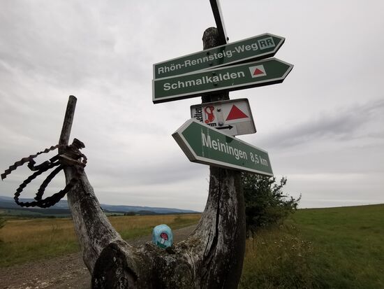 30.08.2020 ausgewildert an der Weggabelung oberhalb des Flugplatzes Dolmar