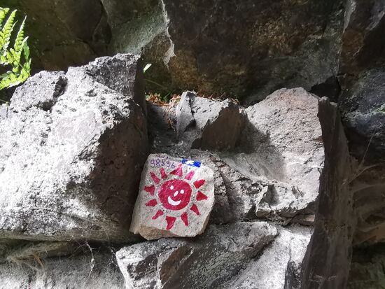 SONNE: 29.08.2020 ausgewildert am Trusetaler Wasserfall (Köhlerhütte)