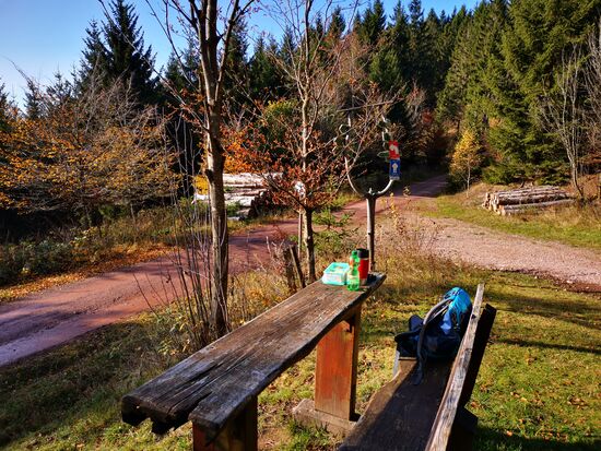 07.11.2020: neben dieser Sitzgruppe im Gras lag der folgende Stein (Wanderweg um den Großen Hermannsberg)